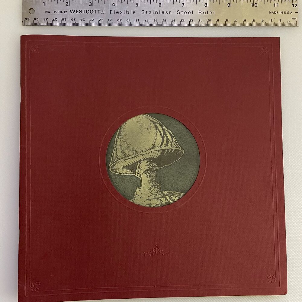 Allman Brothers Dreams In Memory Book 1989....as new